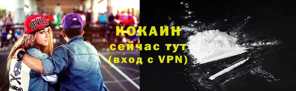 шишки Балабаново