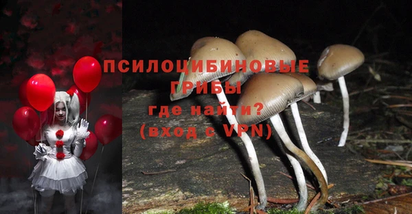 каннабис Арсеньев
